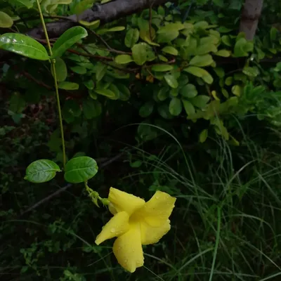 Photo from Chennai, India