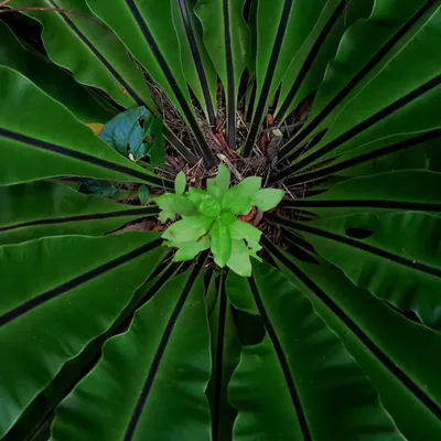 Photo from Hyderabad, India