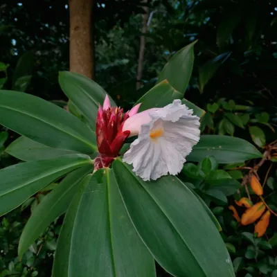 Photo from Hyderabad, India