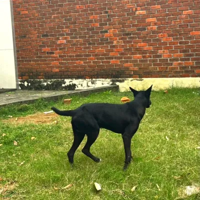 Photo from Chennai, India