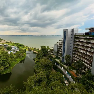 Photo from Forest City, Malaysia