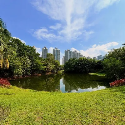 Photo from Forest City, Malaysia