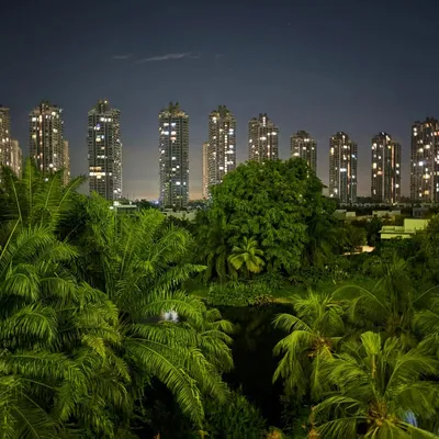 Photo from Forest City, Malaysia