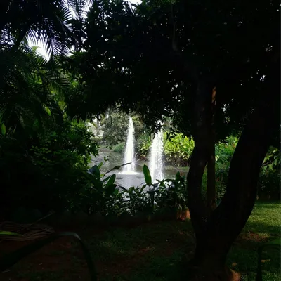 Photo from Kochi, India