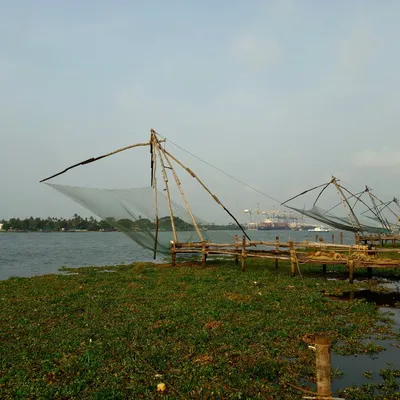 Photo from Kochi, India