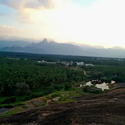 Photo from Pollachi, Tamil Nadu