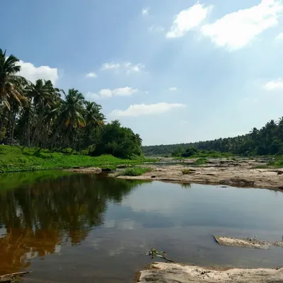 Photo from Pollachi, Tamil Nadu
