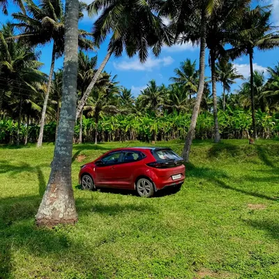 Photo from Pollachi, Tamil Nadu