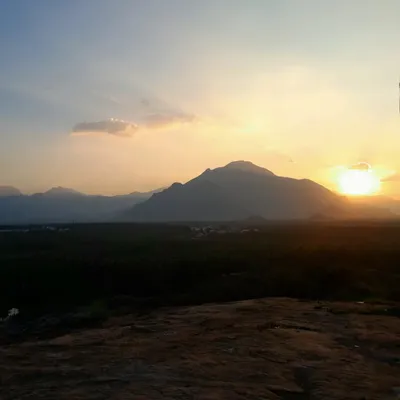 Photo from Pollachi, Tamil Nadu