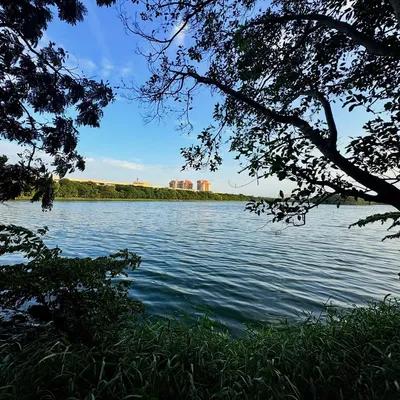 Photo from Bangalore, India