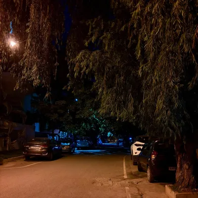 Photo from Bangalore, India