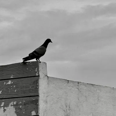 Photo from Chennai, India