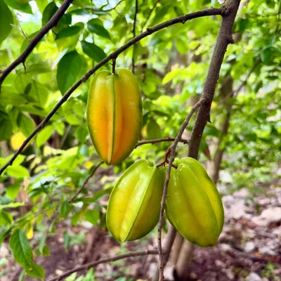 Photo from Chennai, India