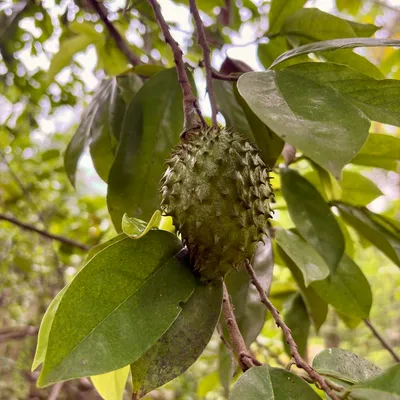 Photo from Chennai, India