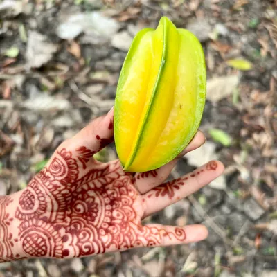 Photo from Chennai, India